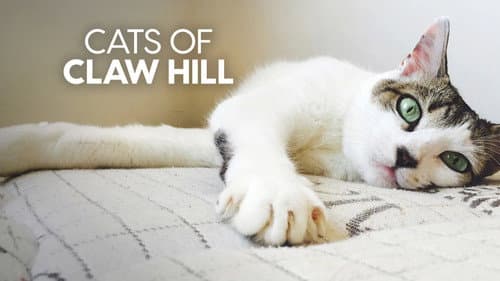 Cats of Claw Hill still