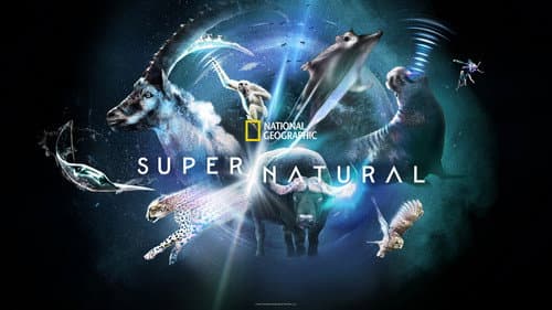 Super/Natural still