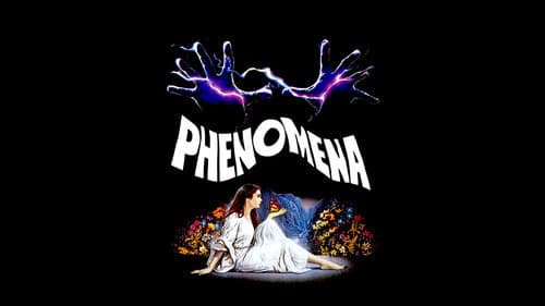 Phenomena still