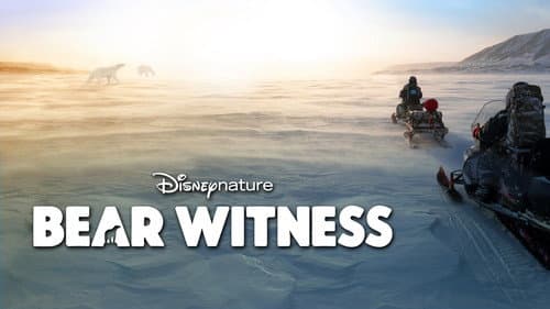 Bear Witness still