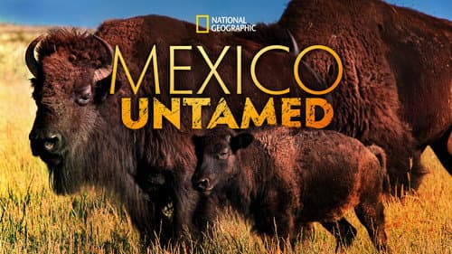 Mexico Untamed still