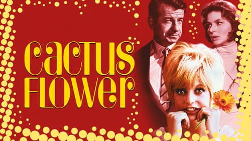 Cactus Flower still