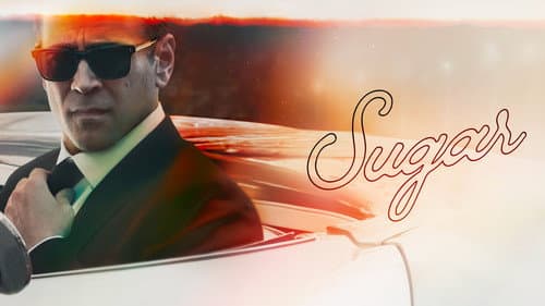 Sugar still