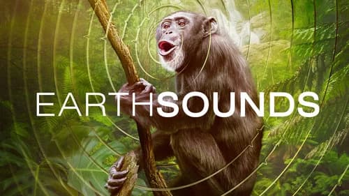 Earthsounds still