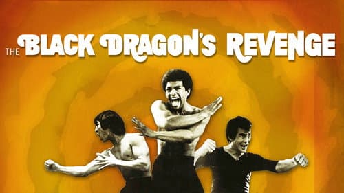 Black Dragon's Revenge still