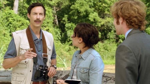 The Birder still