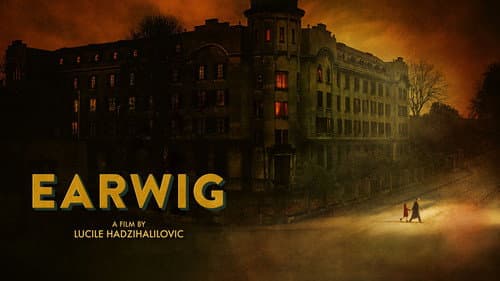 Earwig still
