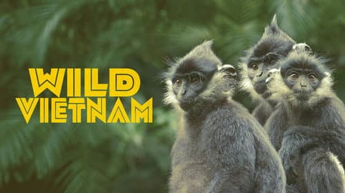 Wild Vietnam still