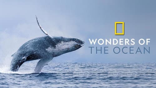 Wonders of the Ocean still