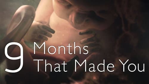 9 Months That Made You still