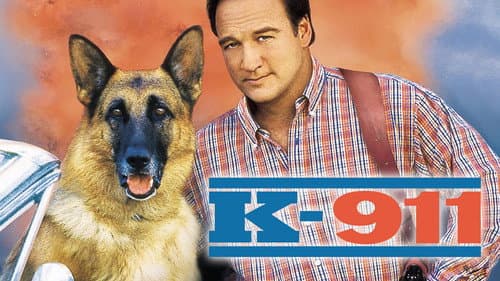 K-911 still