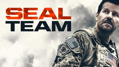 SEAL Team still