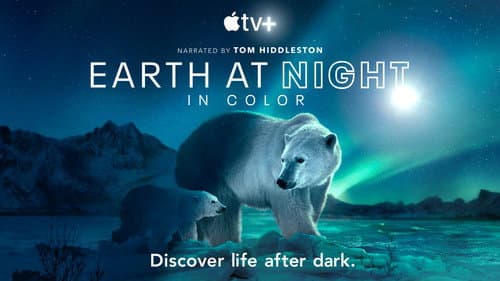 Earth at Night in Colour still