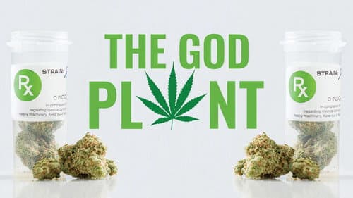 The God Plant still