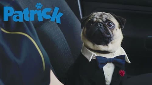 Patrick still