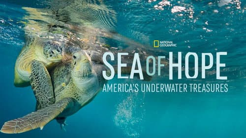 Sea of Hope: America's Underwater Treasures still