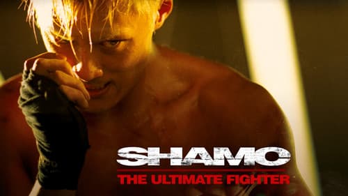 Shamo still