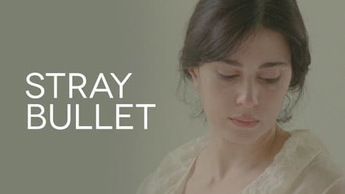 Stray Bullet still