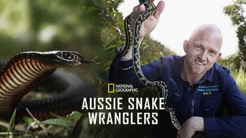 Aussie Snake Wranglers still