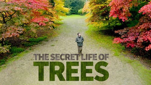 The Secret Life of Trees still