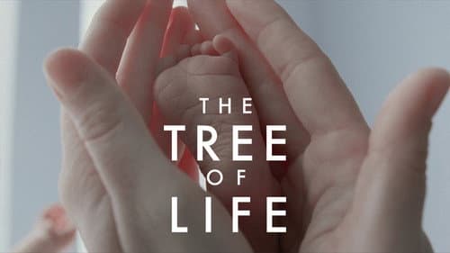 The Tree of Life still
