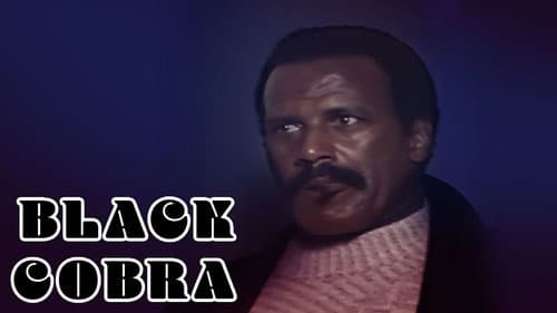 The Black Cobra still