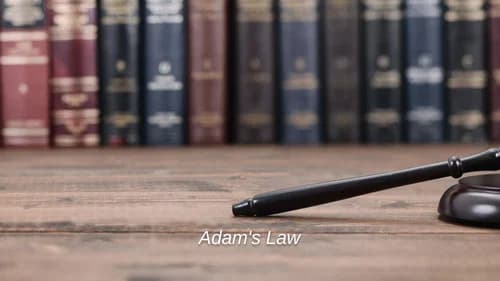 Adam's Law still