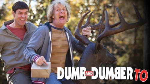 Dumb and Dumber To still