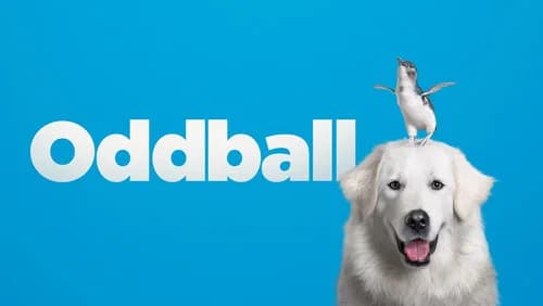 Oddball still