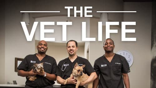 The Vet Life still