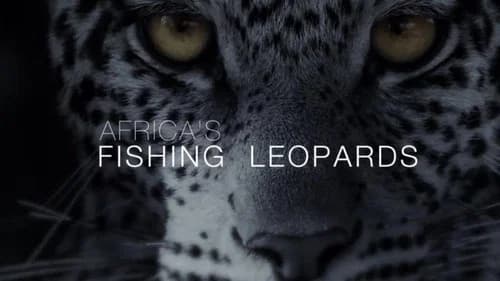 Africa's Fishing Leopards still