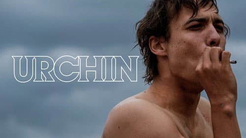 Urchin still