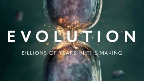 Evolution still