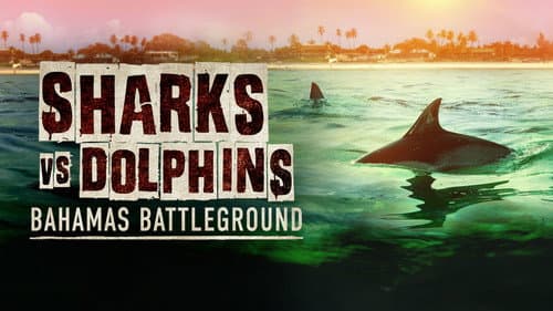 Sharks vs. Dolphins: Bahamas Battleground still