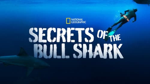 Secrets of the Bull Shark still