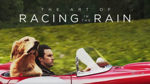 The Art of Racing in the Rain still