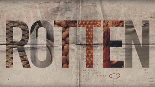 Rotten still