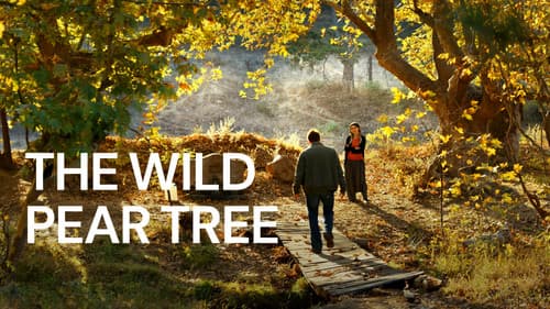 The Wild Pear Tree still