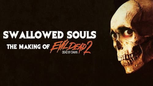Swallowed Souls: The Making of 'Evil Dead 2' still