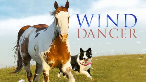 Wind Dancer still