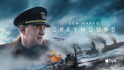 Greyhound still