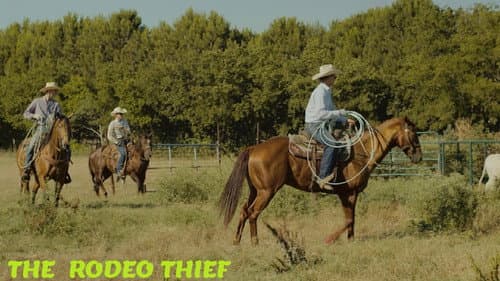 The Rodeo Thief still