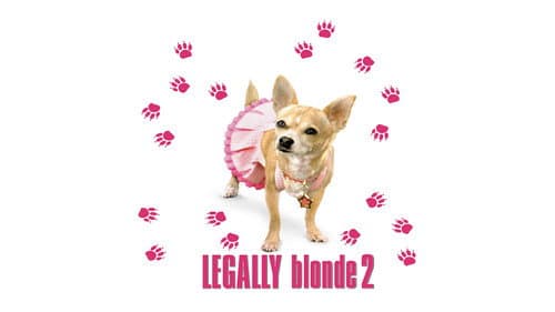 Legally Blonde 2: Red, White & Blonde still