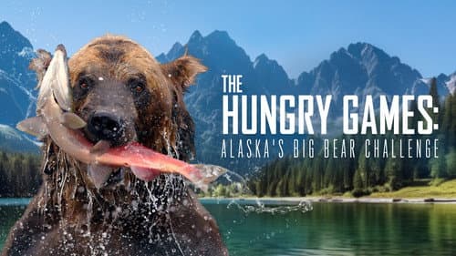 The Hungry Games: Alaska's Big Bear Challenge still