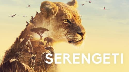 Serengeti still