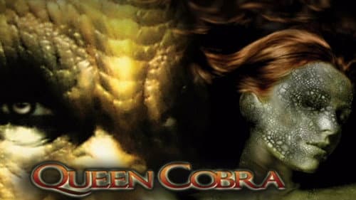 Queen Cobra still