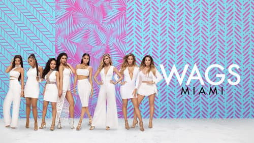 WAGS Miami still