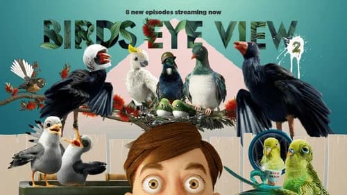 Bird's Eye View still