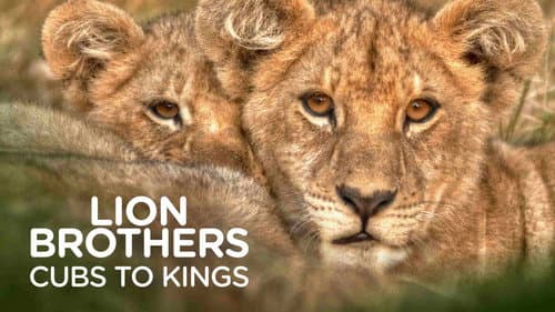 Lion Brothers: Cubs to Kings still