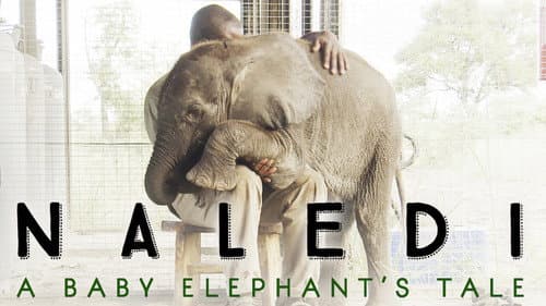 Naledi: A Baby Elephant's Tale still